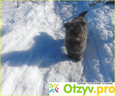 Отзыв о Nikon COOLPIX L810