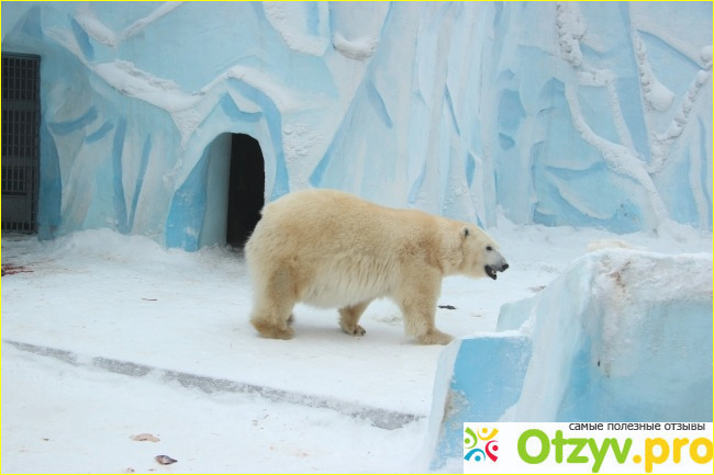 Отзыв о Новосибирский зоопарк (Россия. Новосибирск)