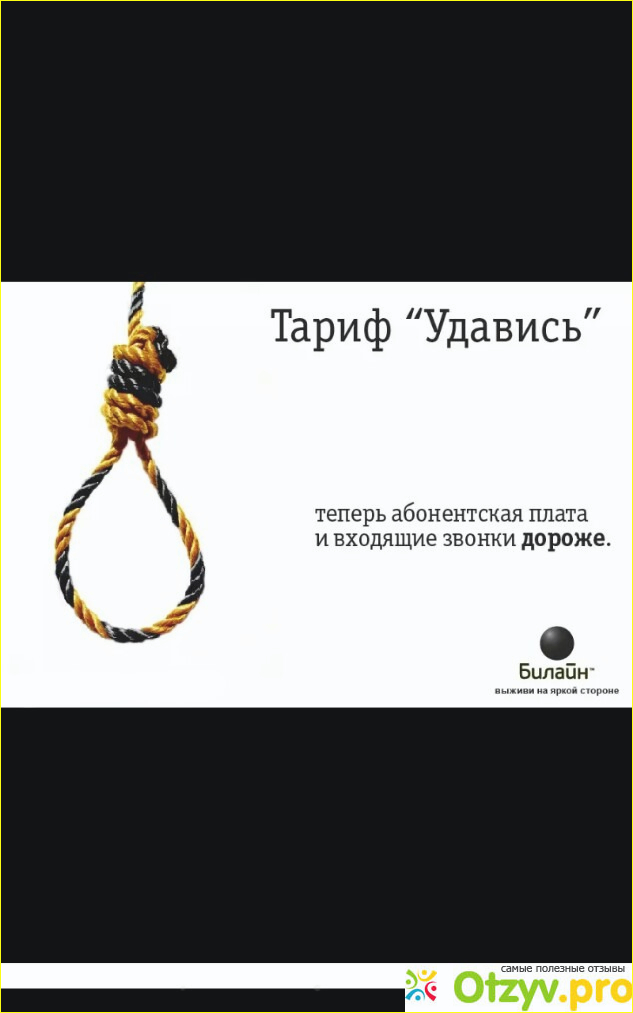 Отзыв о Билайн