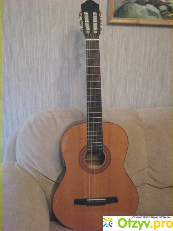 Гитара Hohner HC-06 фото1
