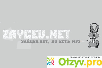 Отзыв о Zaycev net
