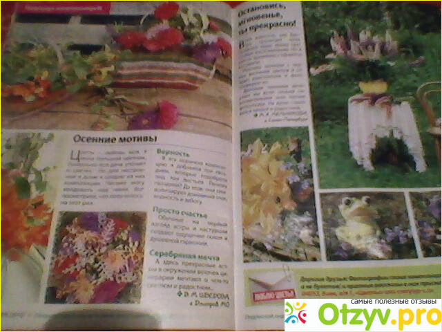 Журнал Люблю цветы фото2