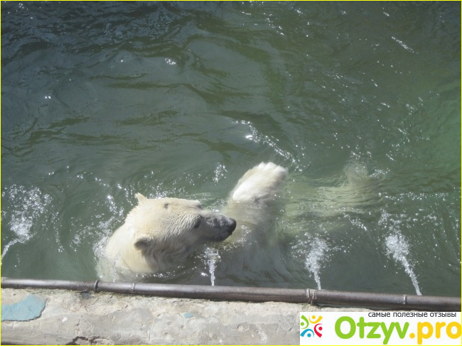 Екатеринбургский зоопарк фото1