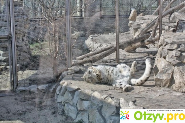Казанский зоопарк фото3