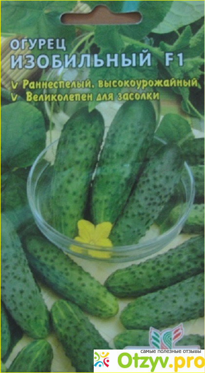 Отзыв о Семена алтая