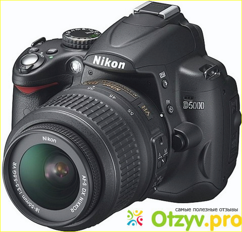 Отзыв о Nikon d5000