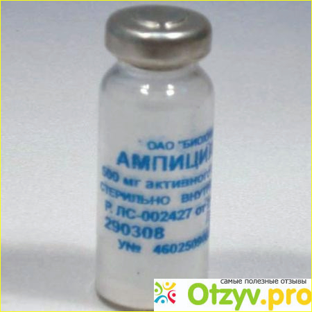 Ампициллин инструкция