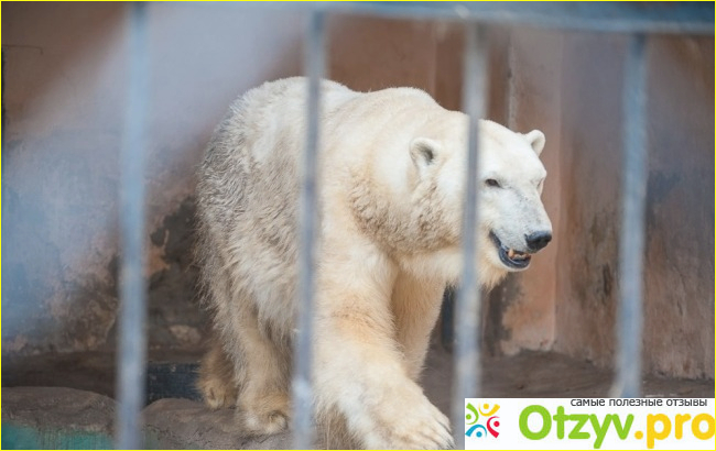 Казанский зоопарк фото1
