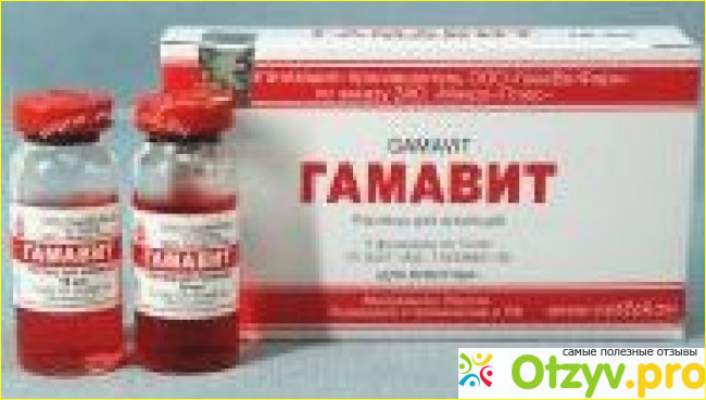 Отзыв о Гамавит для кошек