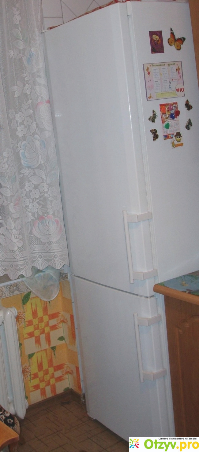 Отзыв о Двухкамерный холодильник Liebherr Ces 4023 (Ces 40230)