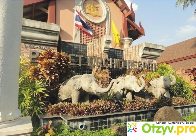 Отзыв о Phuket orchid resort