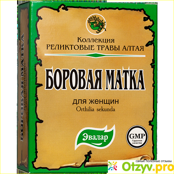 Отзыв о Боровая матка трава