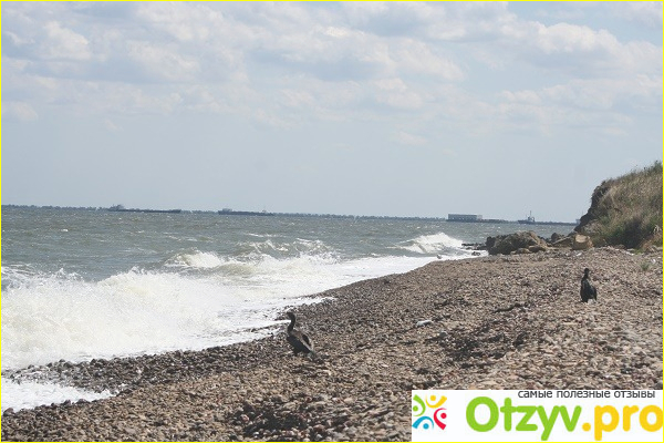 Отзыв о Азовское море в августе