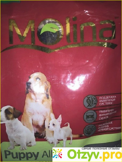 Отзыв о Молина Puppy All Breed - для щенков всех пород