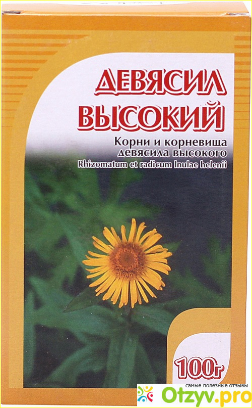 Девясил фото1