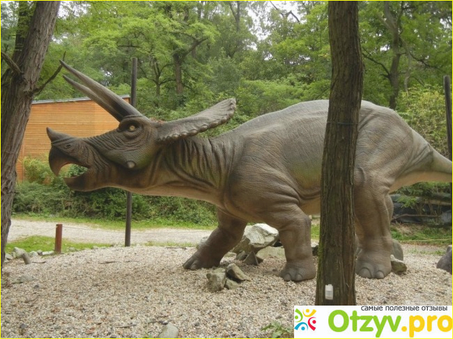 Парк динозавров фото2