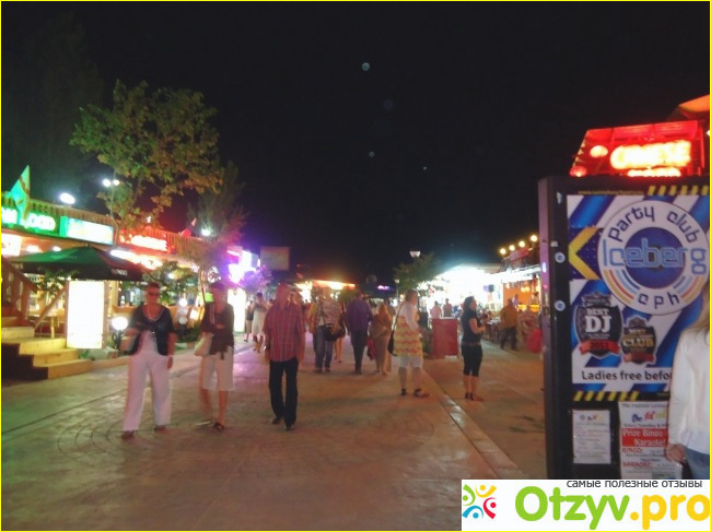 Солнечный берег фото3