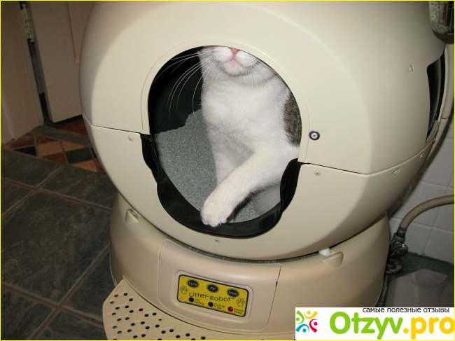 Отзыв о Автоматический туалет для кошки