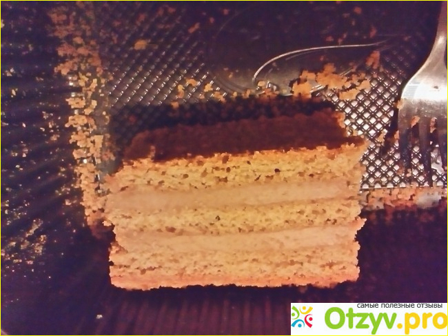 Торт песочный Медовик, классический фото4