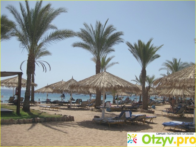 Отзыв о HILTON SHARM FAYROUZ