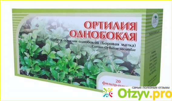Отзыв о Боровая матка трава