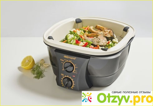 Отзыв о Мультиварка Delimano 8 in 1 Gourmet Cooker