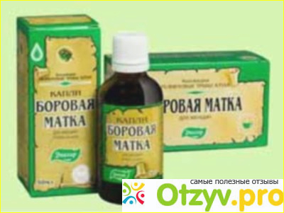 Отзыв о Боровая матка трава