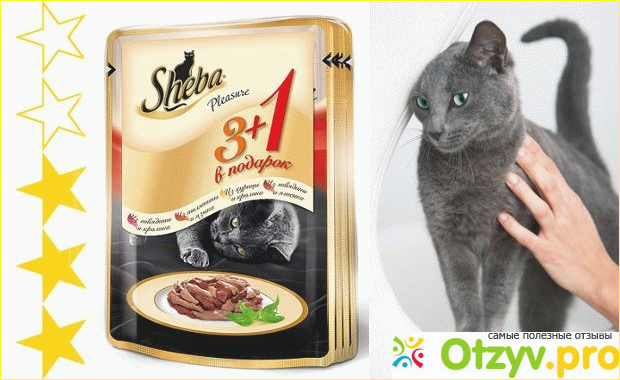 Шеба фото2