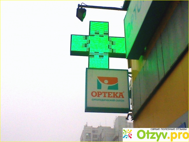 Orteka фото3