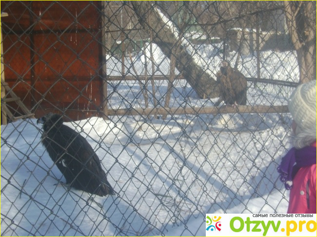 Отзыв о Стоимость билетов в зоопарк Казани
