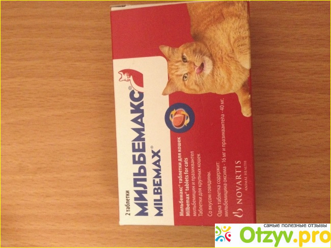 Отзыв о Глистогонное средство Мильбемакс Milbemax для крупных кошек.