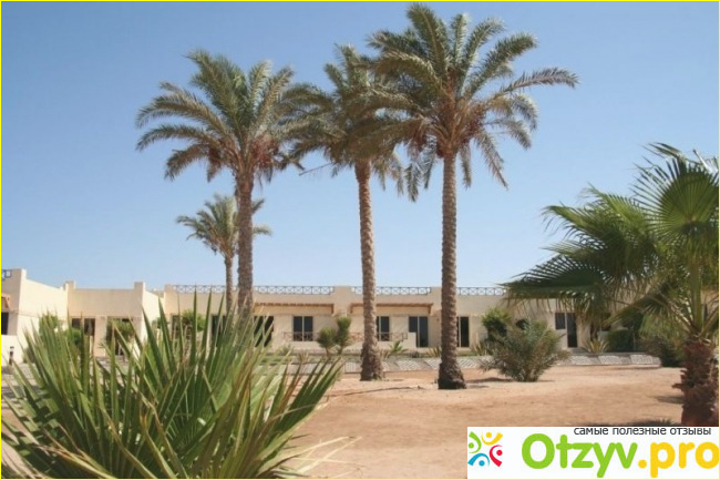 Отзыв о Coral beach hurghada hotel