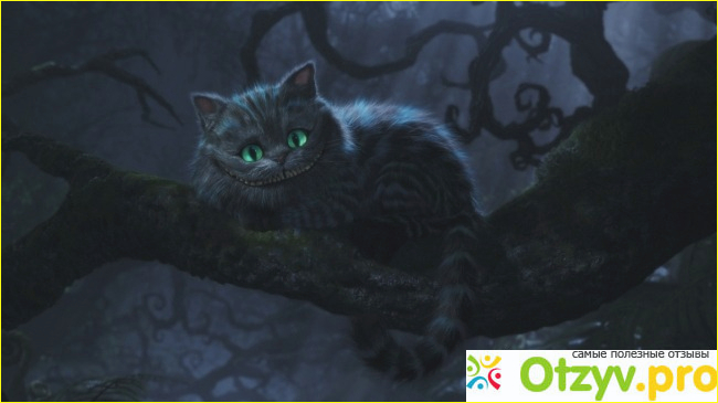 Алиса в стране чудес Alice in Wonderland (США, 2010) фото3