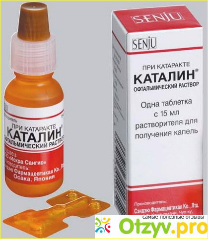 Отзыв о Каталин