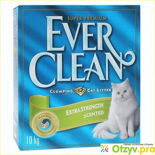 Отзыв о Ever clean