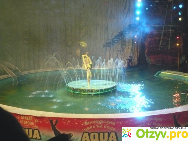 Московский цирк на воде Aqua show фото4