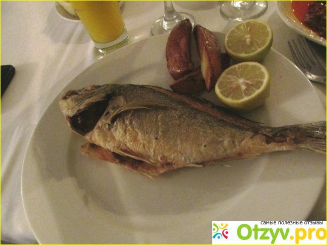 Ресторан "Бней Даяг" (Израиль, Гиват Ольга) фото2