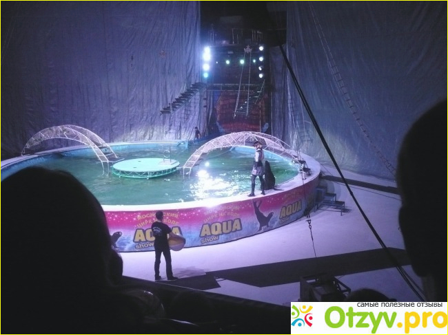 Московский цирк на воде Aqua show фото7