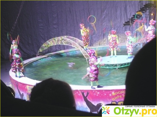 Московский цирк на воде Aqua show фото1