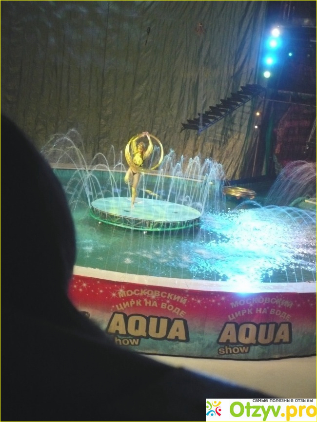 Московский цирк на воде Aqua show фото3