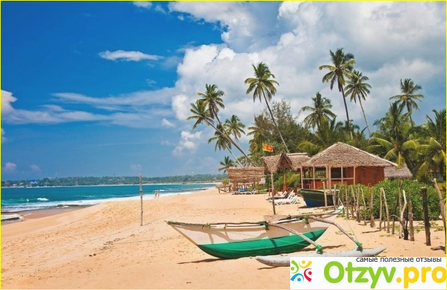 Отзыв о Отдых на шри ланке