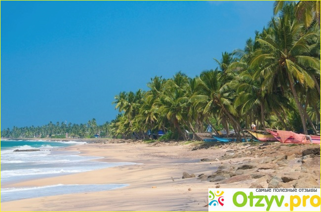 Отзыв о Отдых в шри ланке