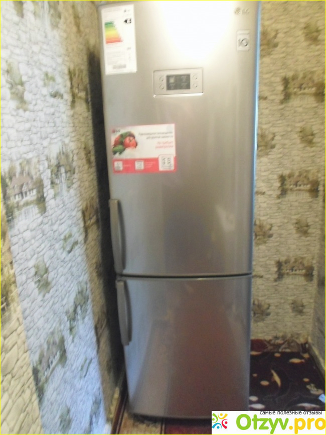 Отзыв о Холодильник с морозильным отделением LG Electronics Lifes Good.