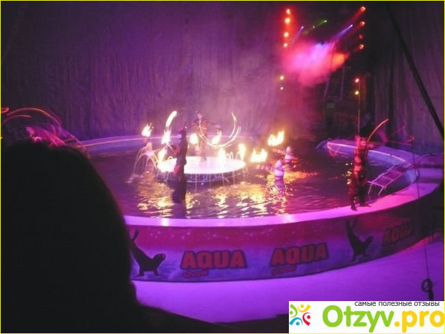 Московский цирк на воде Aqua show фото2