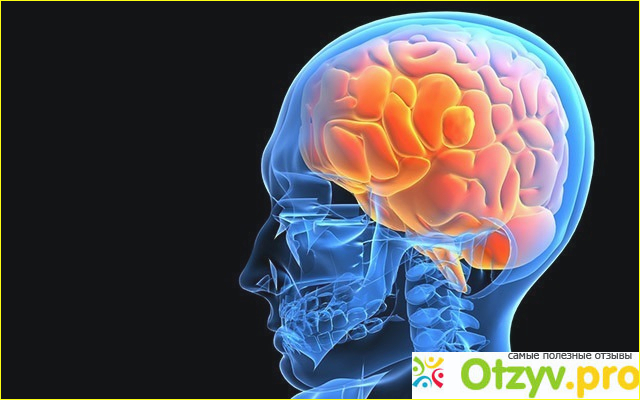 СОТРЯСЕНИЕ ГОЛОВНОГО МОЗГА ЛЕЧЕНИЕ отзывы врачей отрицательные и ...