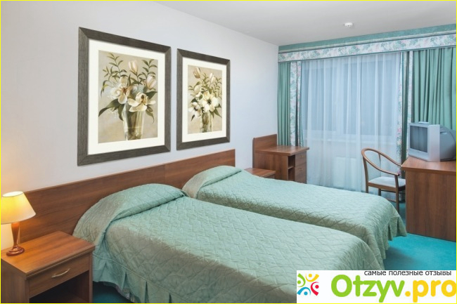 Фореста фестиваль парк фото5