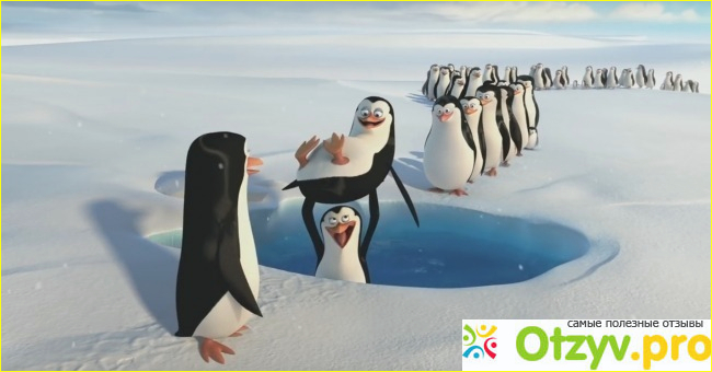 Пингвины Мадагаскара фото1