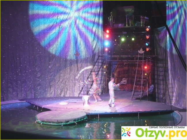 Московский цирк на воде Aqua show фото5