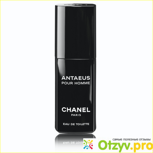 Парфюм шанель мужской фото4