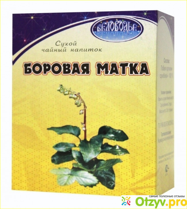 Боровая матка при планировании беременности фото1